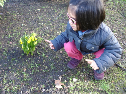 21 feb spring 4.jpg